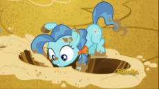 Filly digging.gif