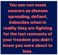 you-see-non-mask-wearers-as-disease-spreading-defiant-imbeciles-reality-fighting-for-last-remnants-of-freedom.jpg