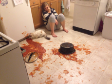 spaghetti murder cat inspection.jpg