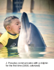 lick dolphin.jpg