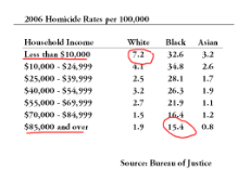 2006 homicide rates per 100,000.png