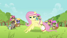 Fluttershy_Pushup_S02E22.png