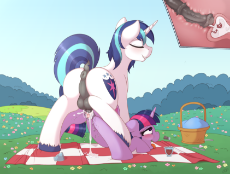 1077602__source needed_explicit_artist-colon-ratofdrawn_edit_shining armor_twilight sparkle_ahegao_all fours_anatomically correct_anus_ba.png