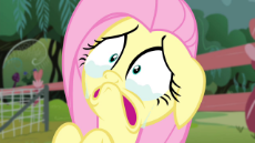 img-2846329-1-Fluttershy_crying_face_S4E14.png